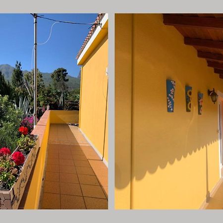 Вілла Casa Piedras Blancas With Private Garden Ель-Пасо Екстер'єр фото