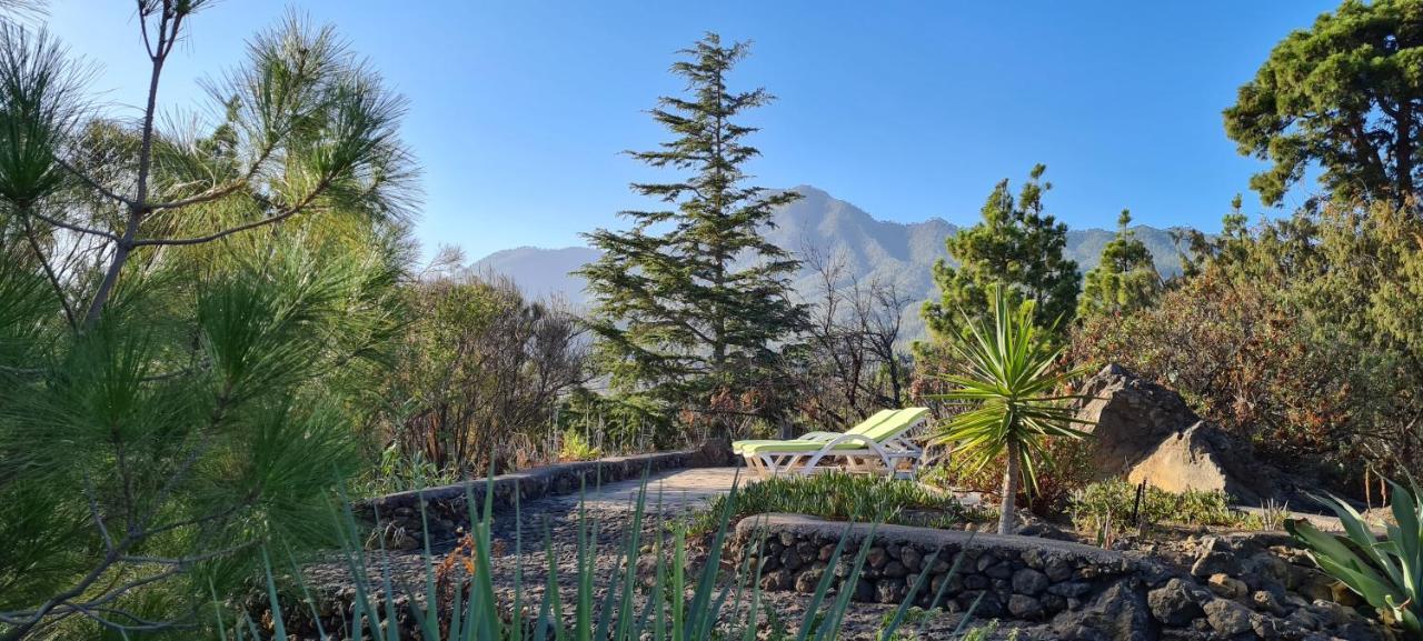 Вілла Casa Piedras Blancas With Private Garden Ель-Пасо Екстер'єр фото
