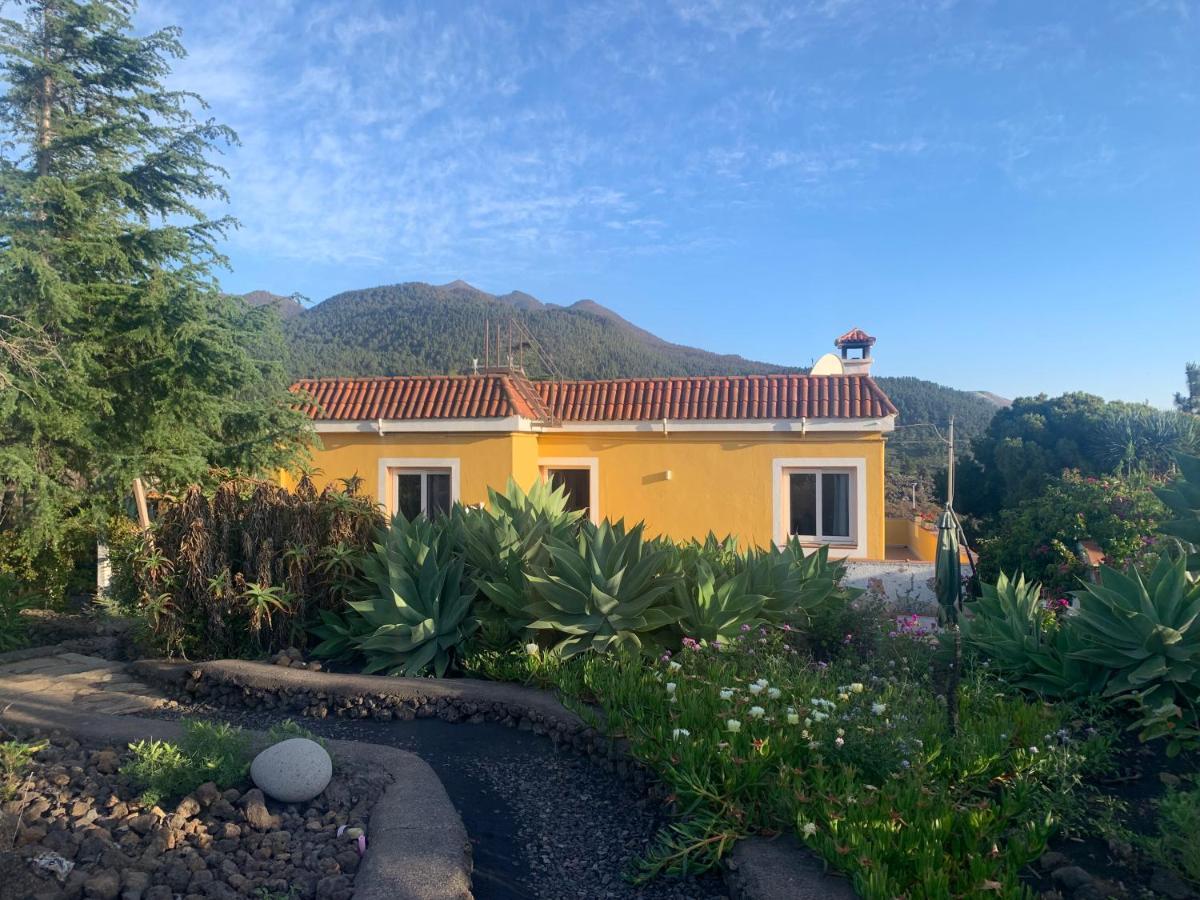 Вілла Casa Piedras Blancas With Private Garden Ель-Пасо Екстер'єр фото