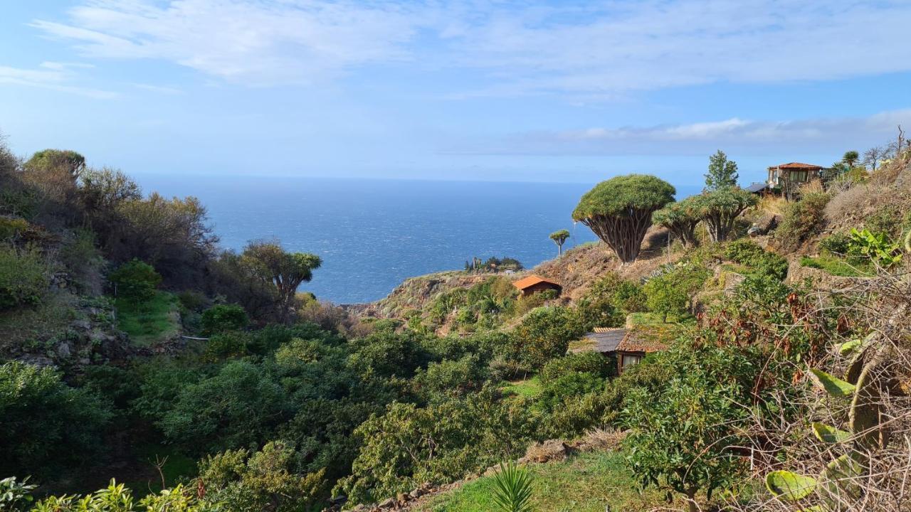 Вілла Casa Piedras Blancas With Private Garden Ель-Пасо Екстер'єр фото